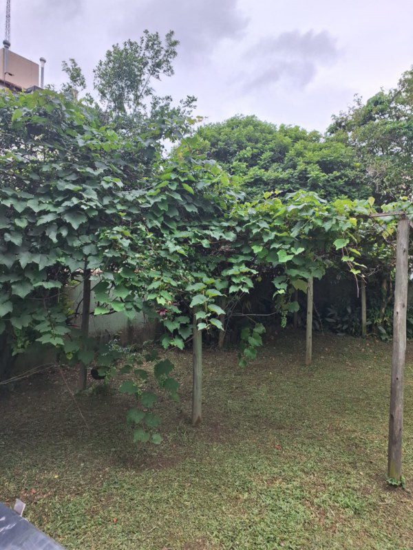 74ad7742-f5ef-44dd-bd86-746e56459dcf